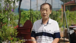 청주 두루봉축제